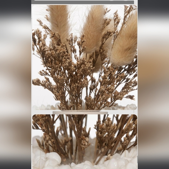 3/$30 Bouclair Terrarium Dried - Picture 2 of 4